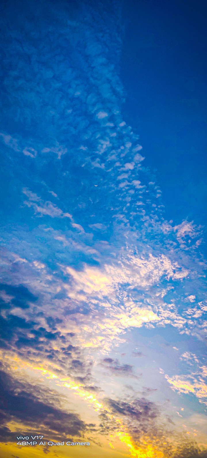 mobile photography