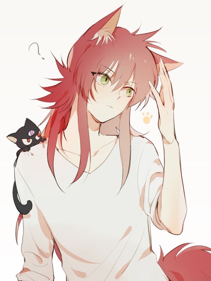 kurama has cat ear ?