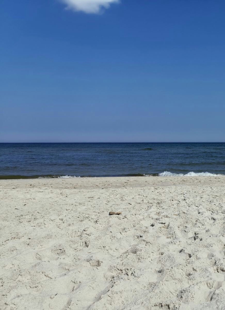 море
