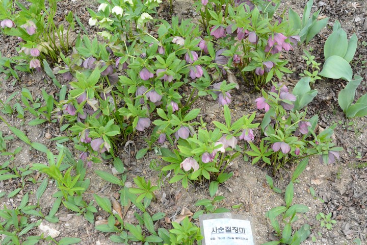 풍경이미지