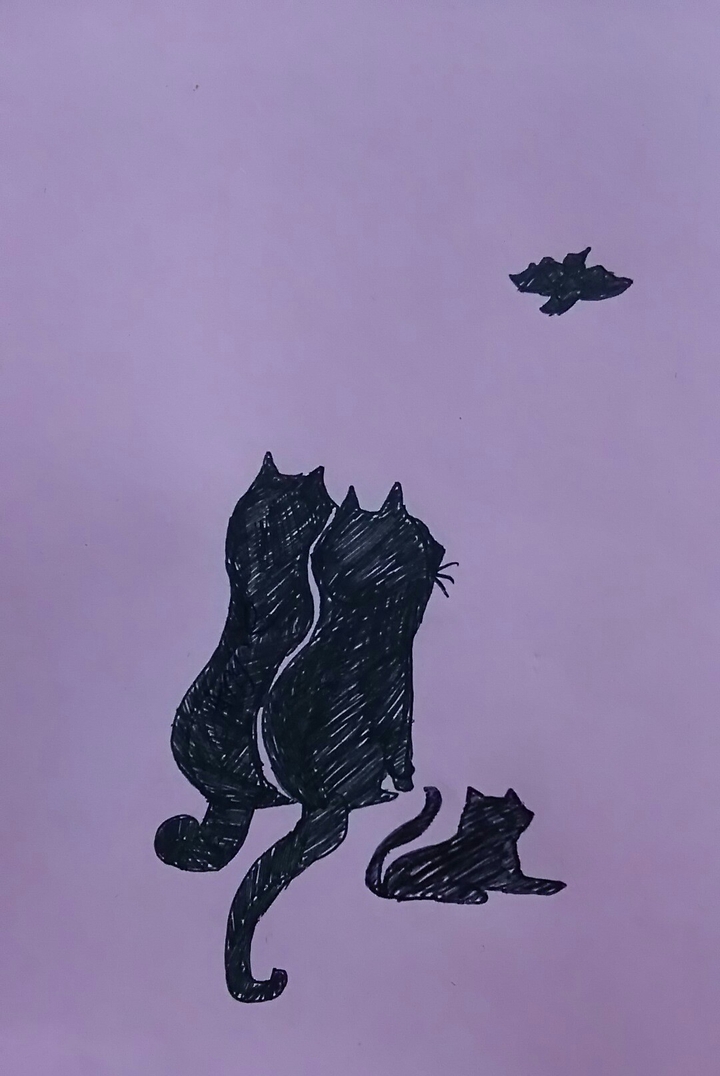 Original Cat Illustration