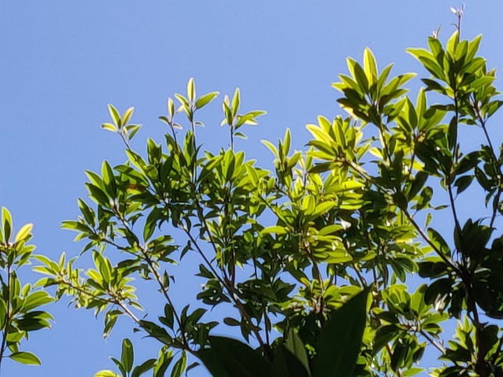 sky