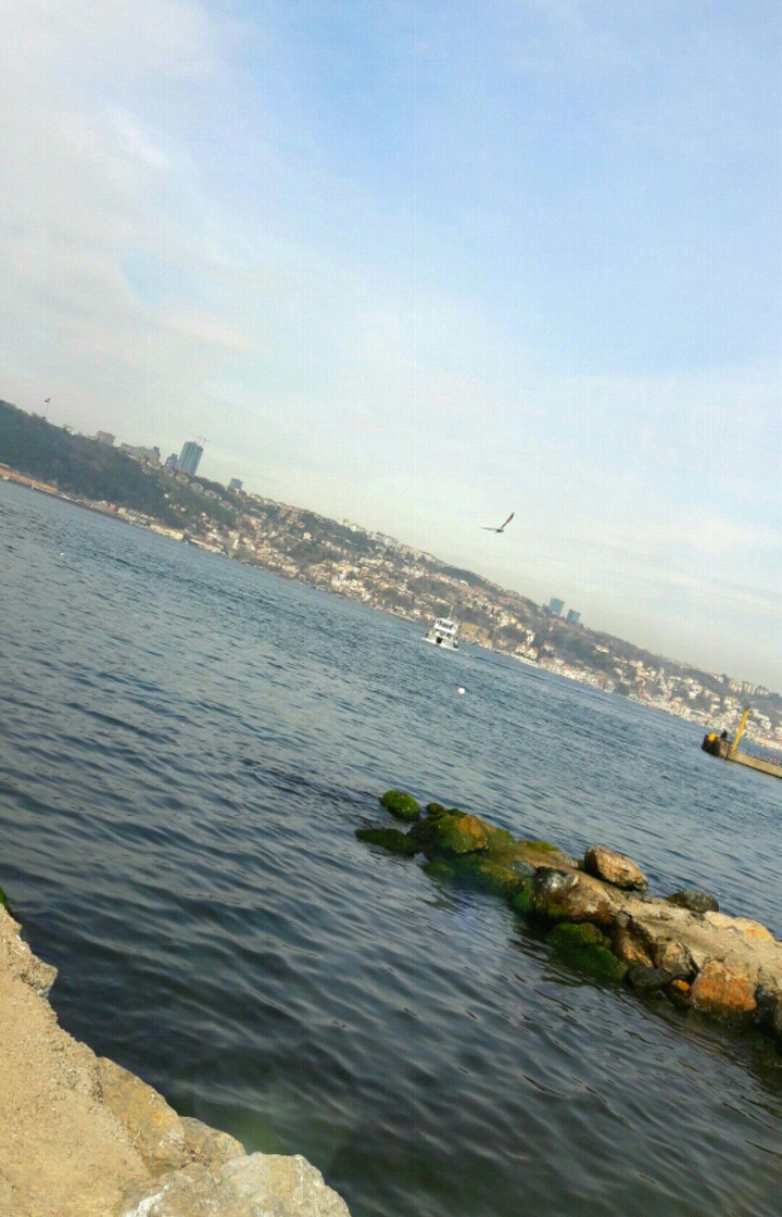 sea