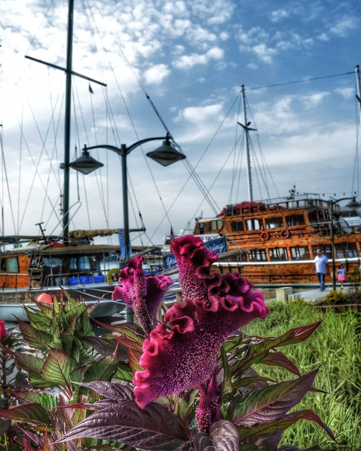 Ayvalık/Turkey(Türkiye)
