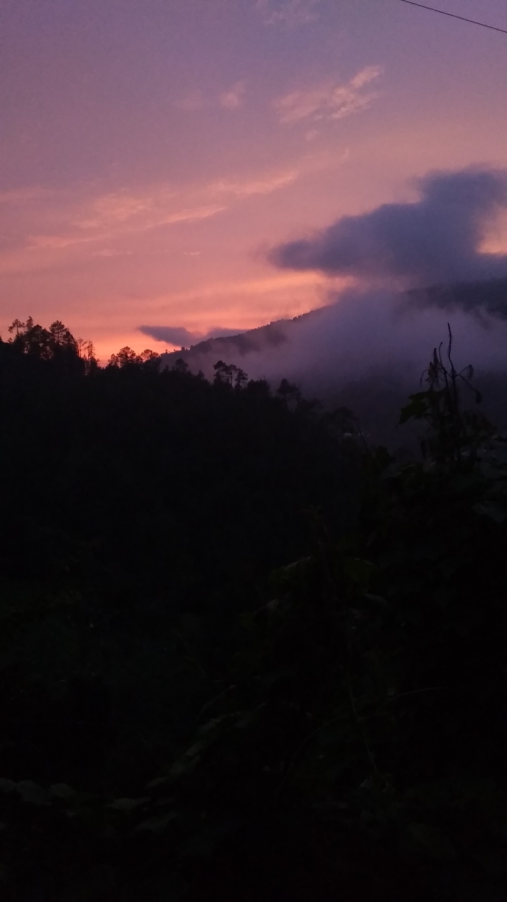 Nature