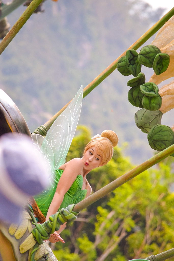 fairy tinkerbell