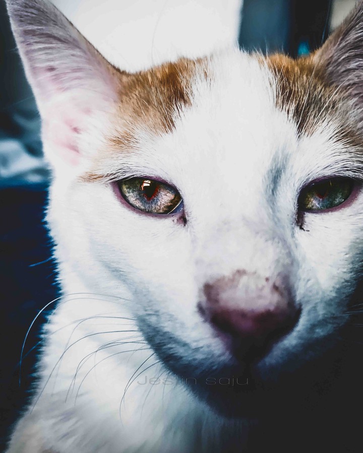 that look