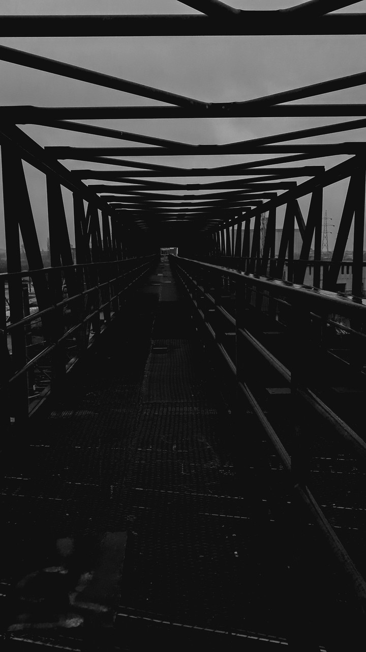Bridge