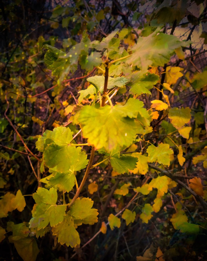 November day