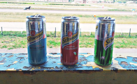 Horse Racing