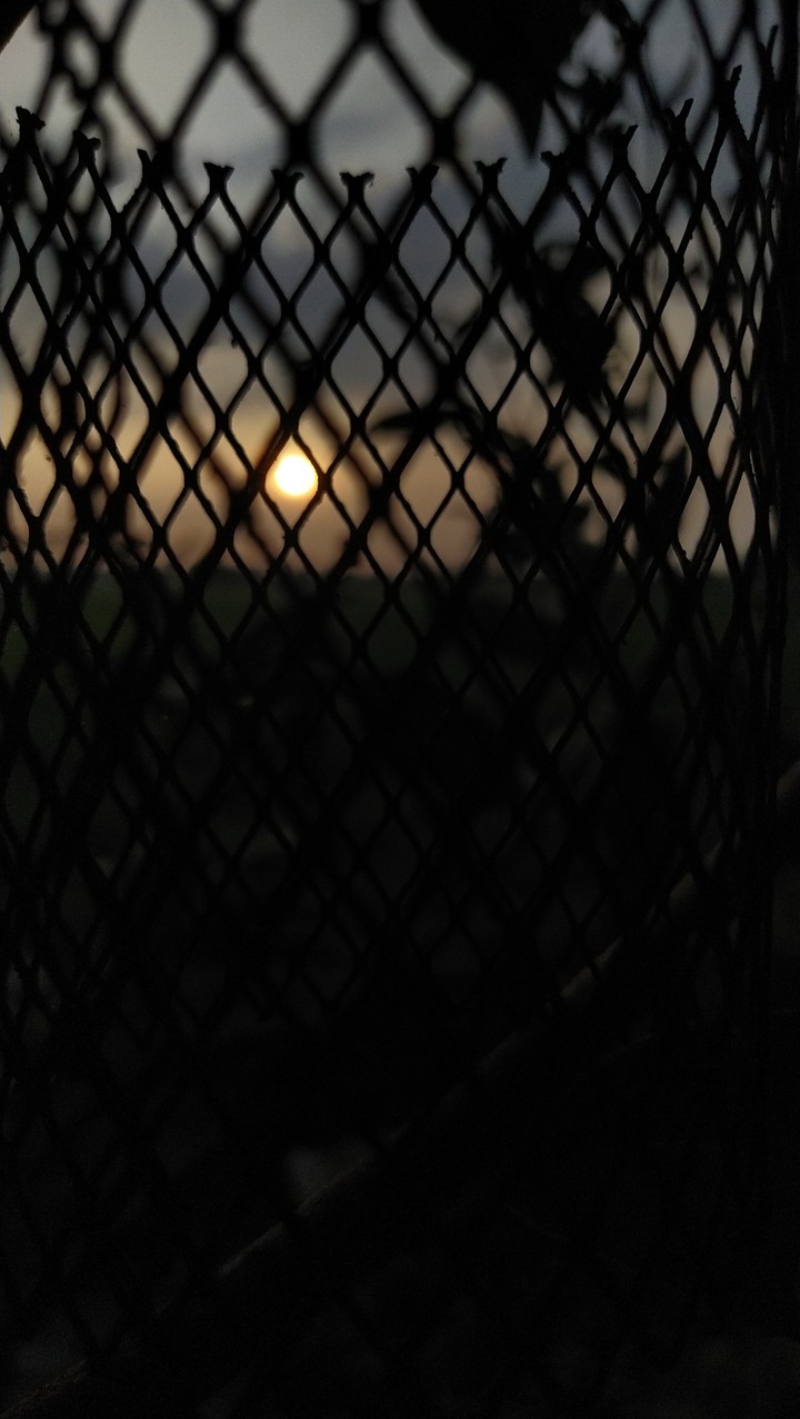 Early morning sunrise