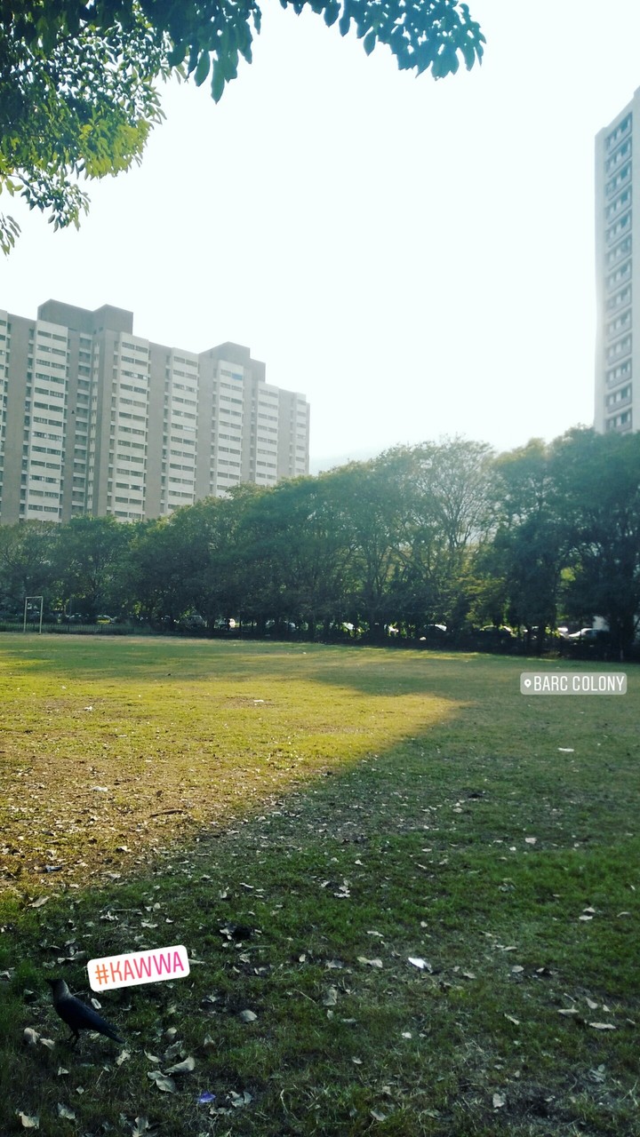 BARC ground