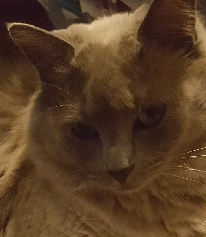 Stinky