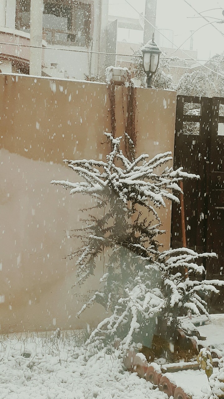 #snow #white #home #view #home