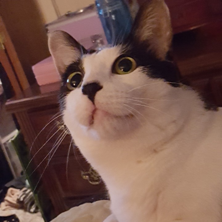 winston