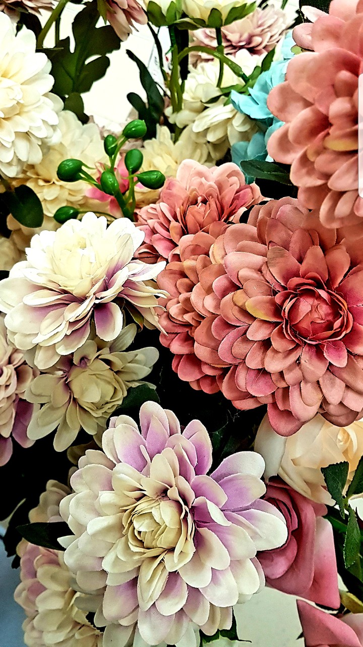fiori