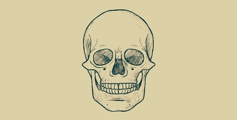 skull