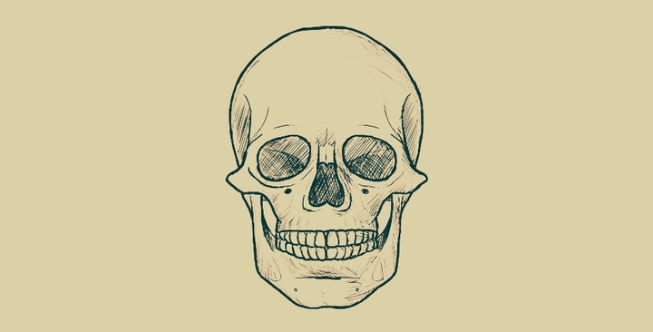 skull