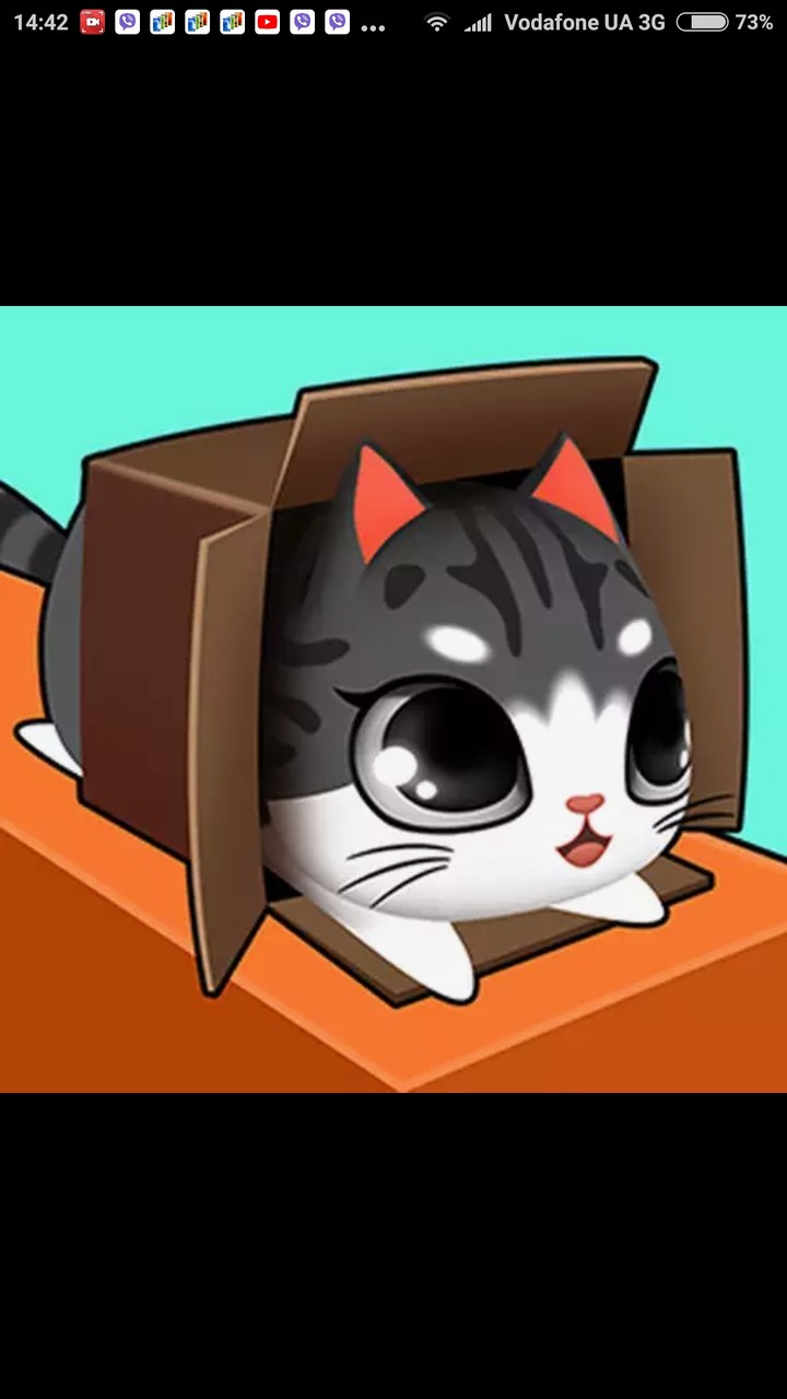 Cat for box