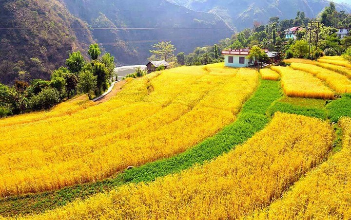nature