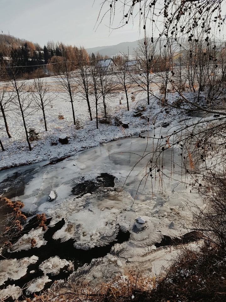 Winter