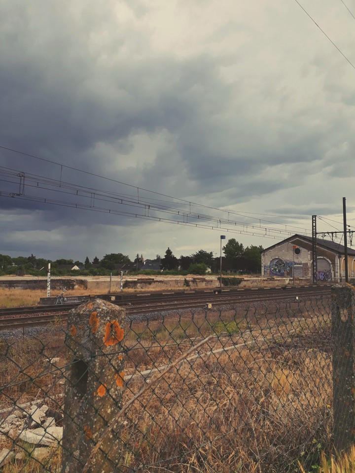 tracks
