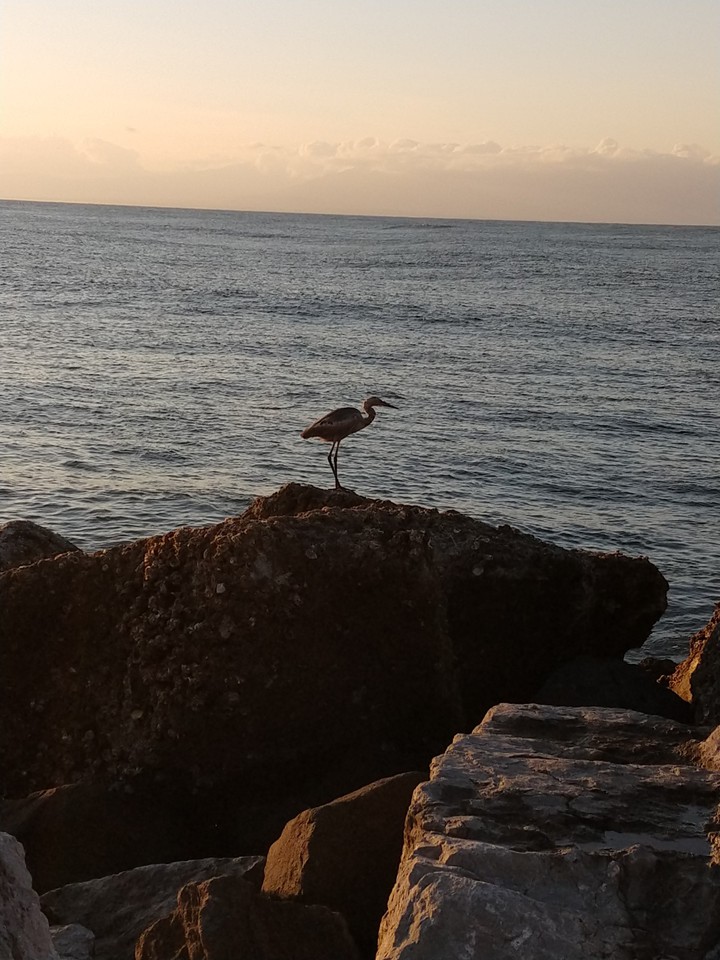 Coatza