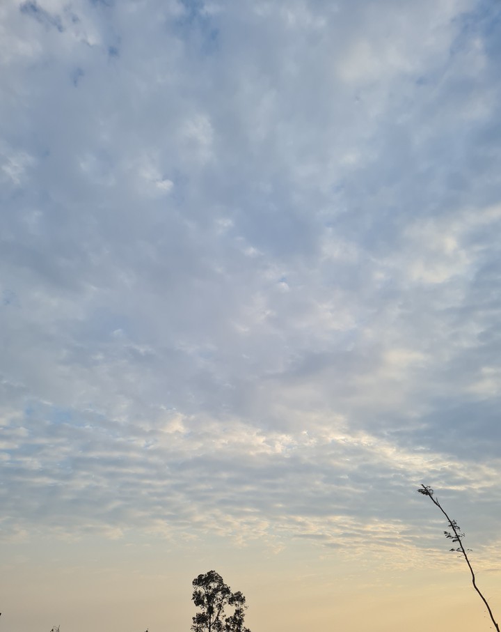 Amanhecer