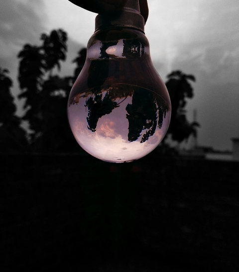 Bulb