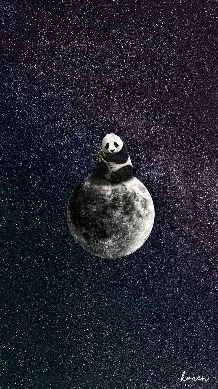 a panda in space