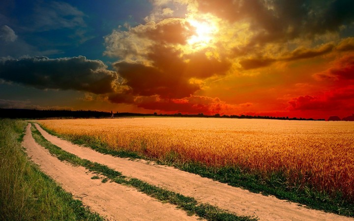yol..