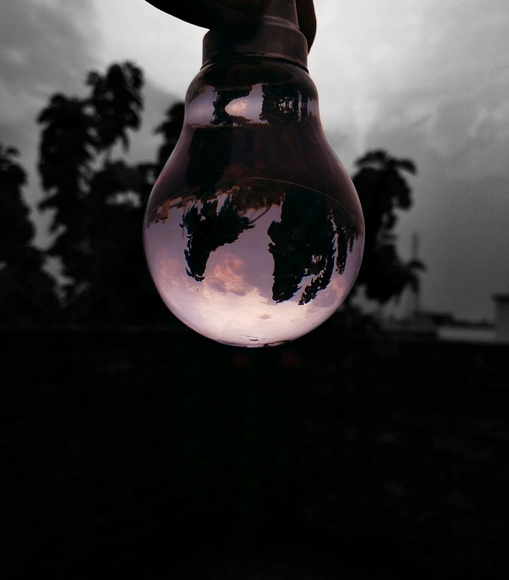 Bulb