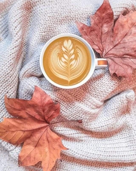 بدون عنوان