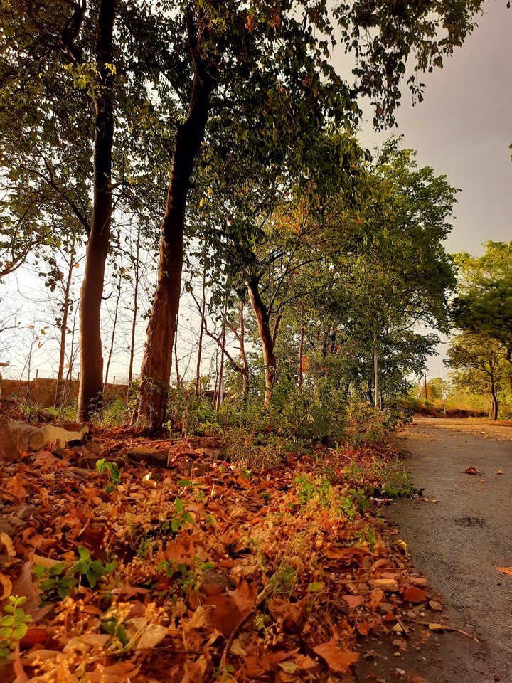 scenery