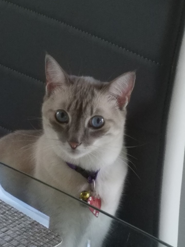 Nina