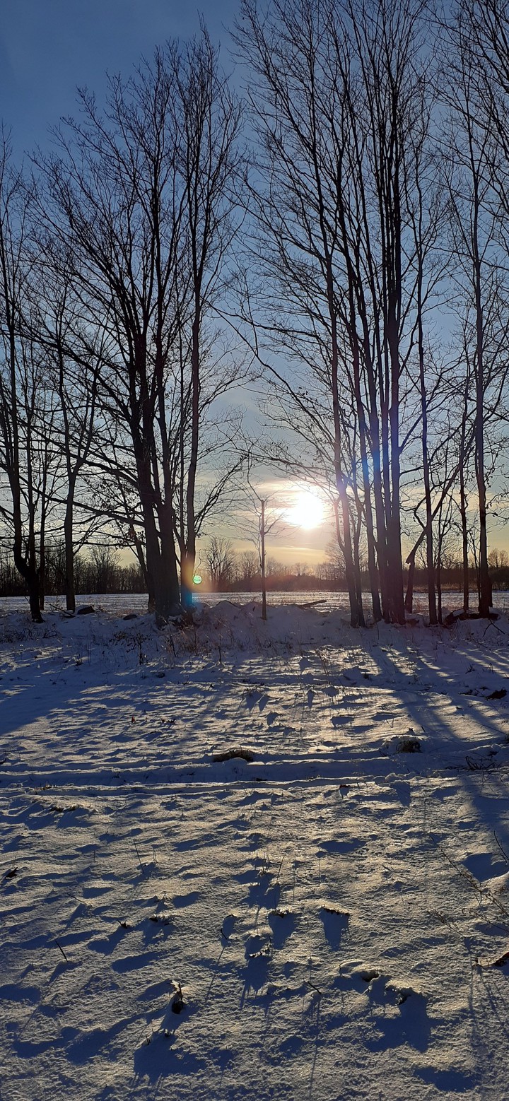 winter sunset