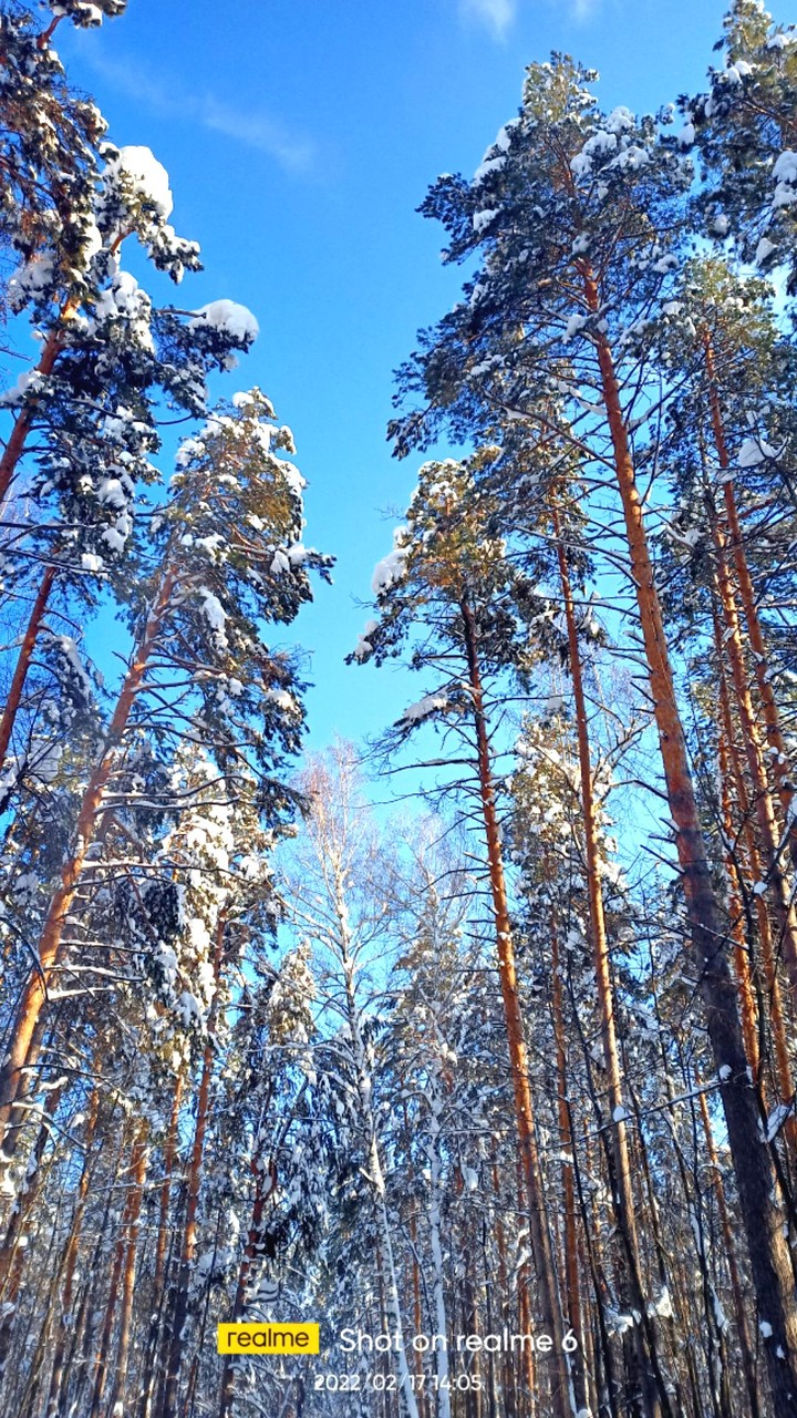 ле