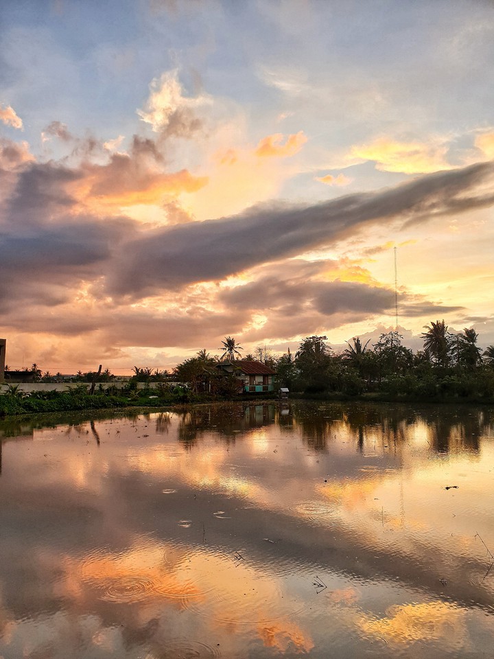 reflection