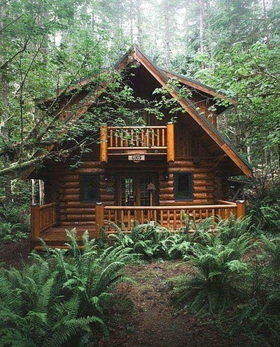 Beauté de la nature