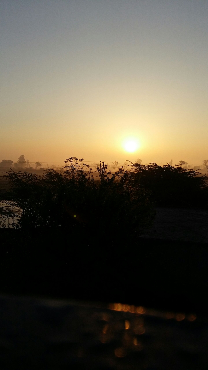 Rising Sun
