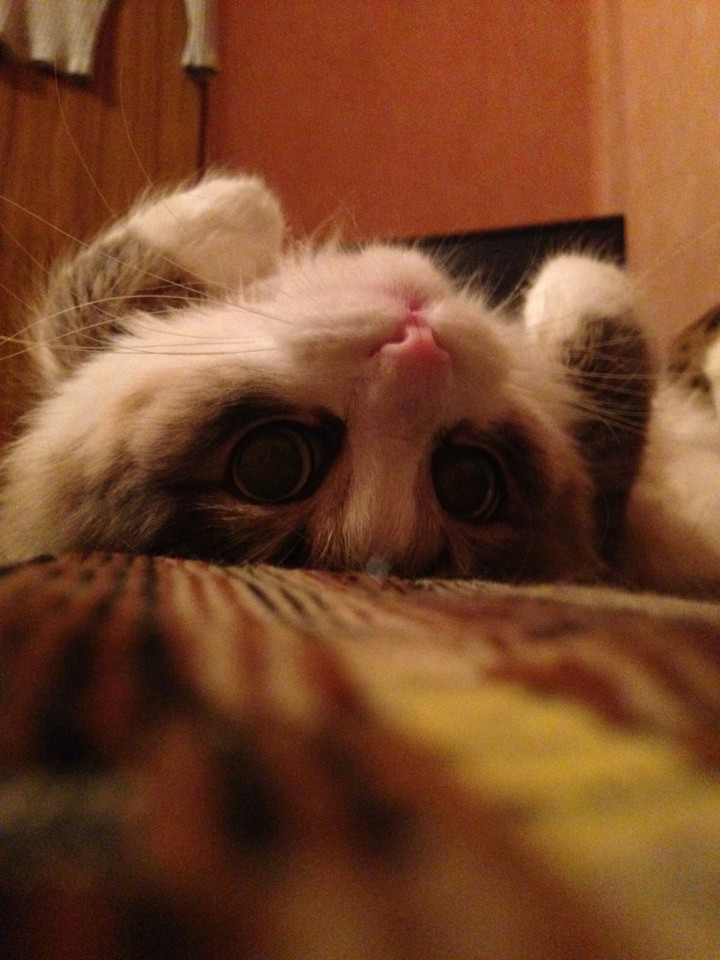 I am fond of. Аnd what are you doing?