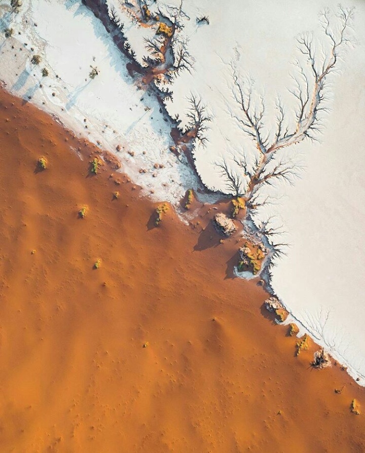 nature