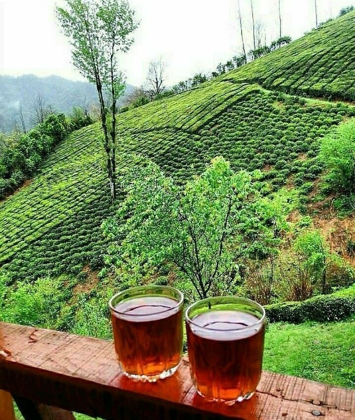 ⛰☘☕