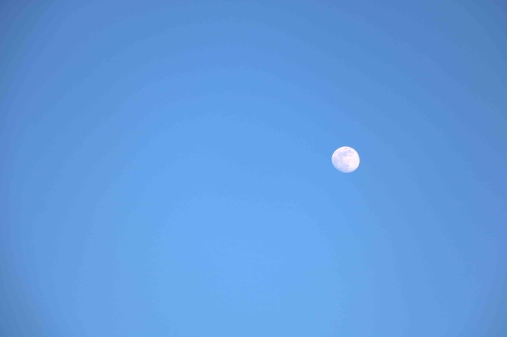 moon