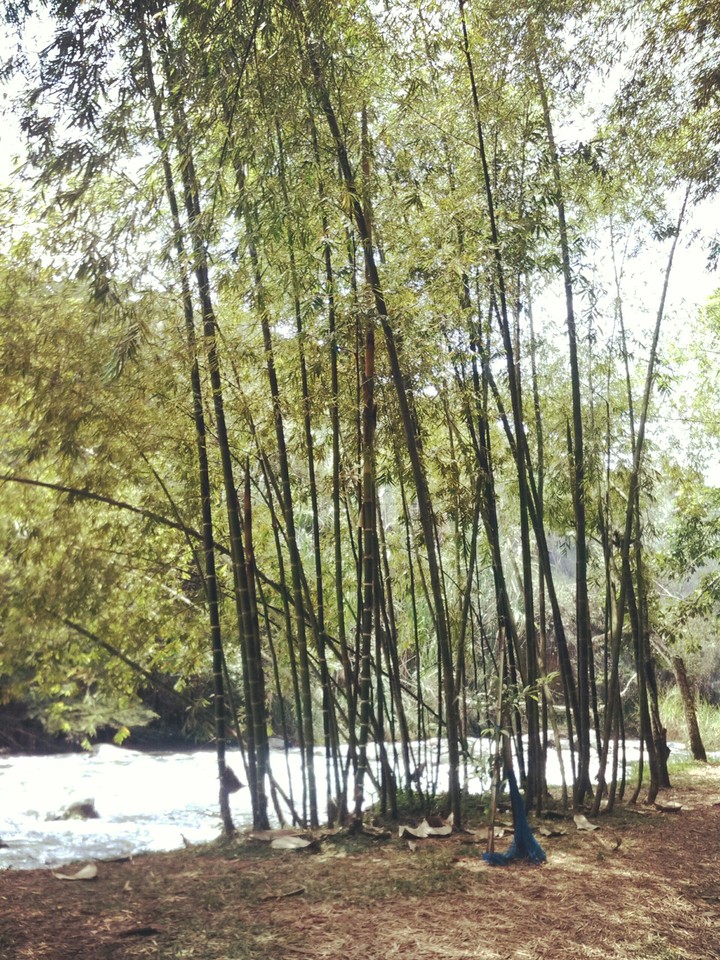 natura