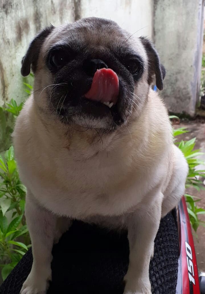 ❤