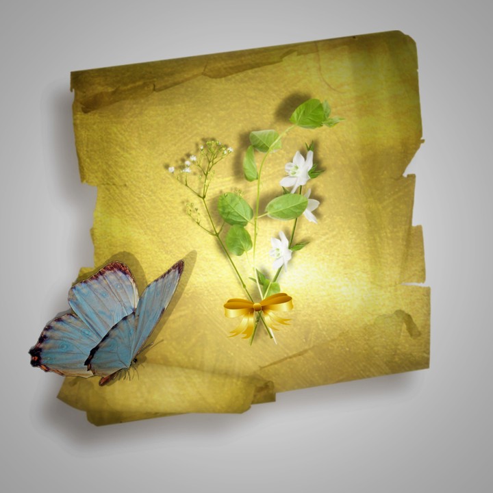 paper
