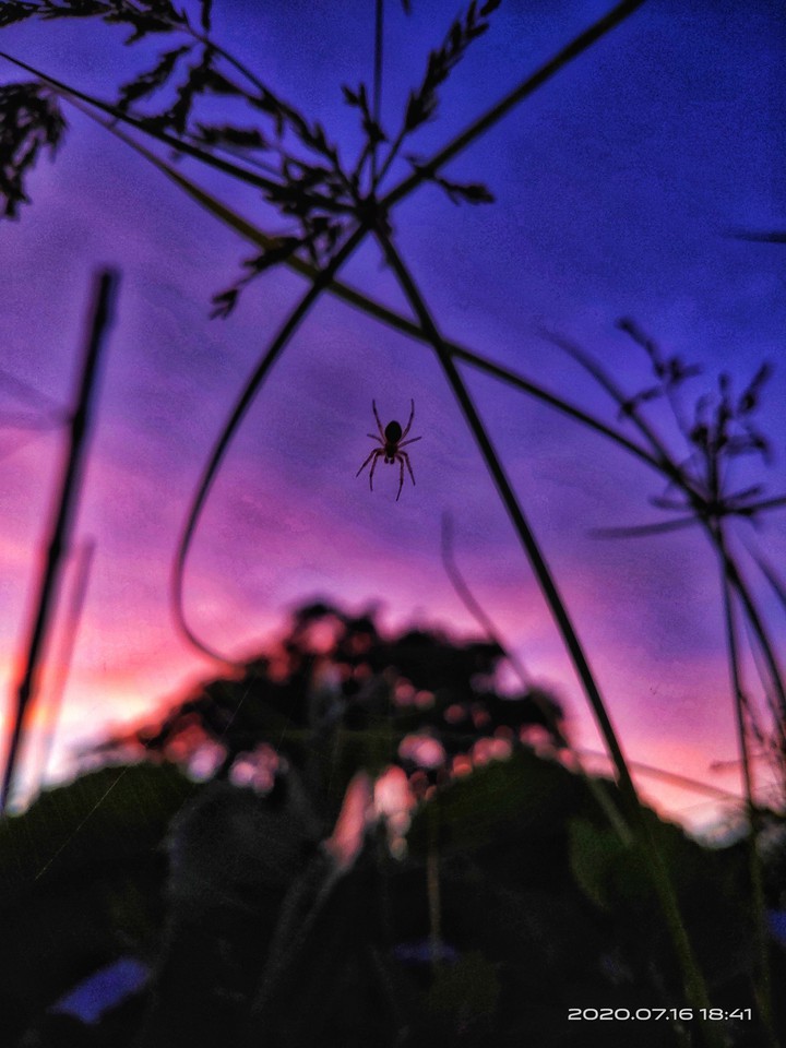Evening
