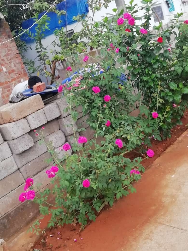 my click