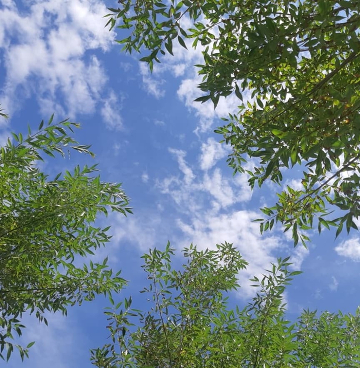 sky